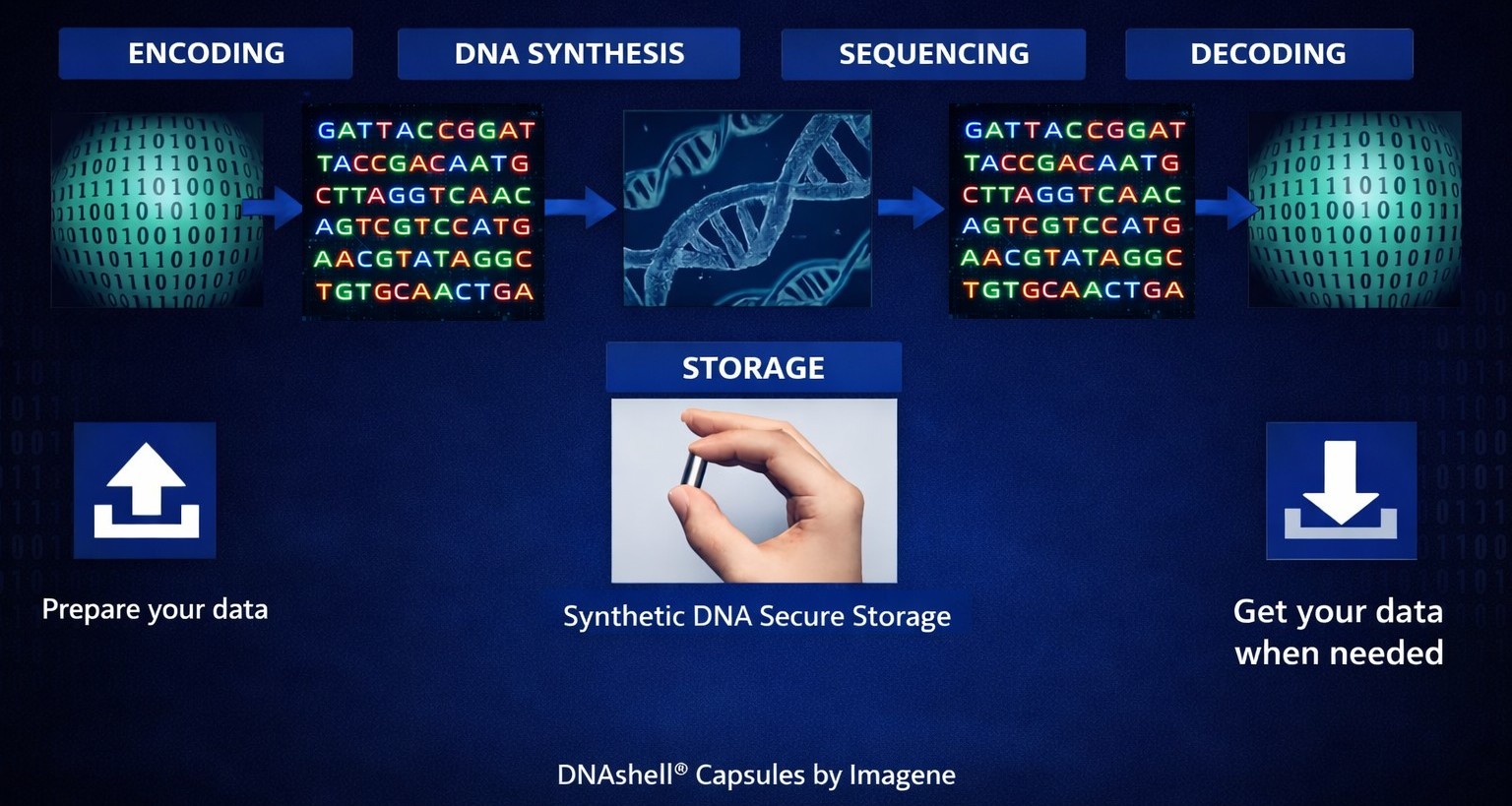 Pearcode DNA storage description